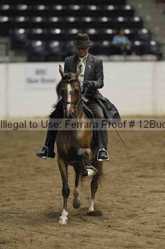 Proof 12buck_3918
