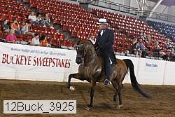 12buck_3925 proof