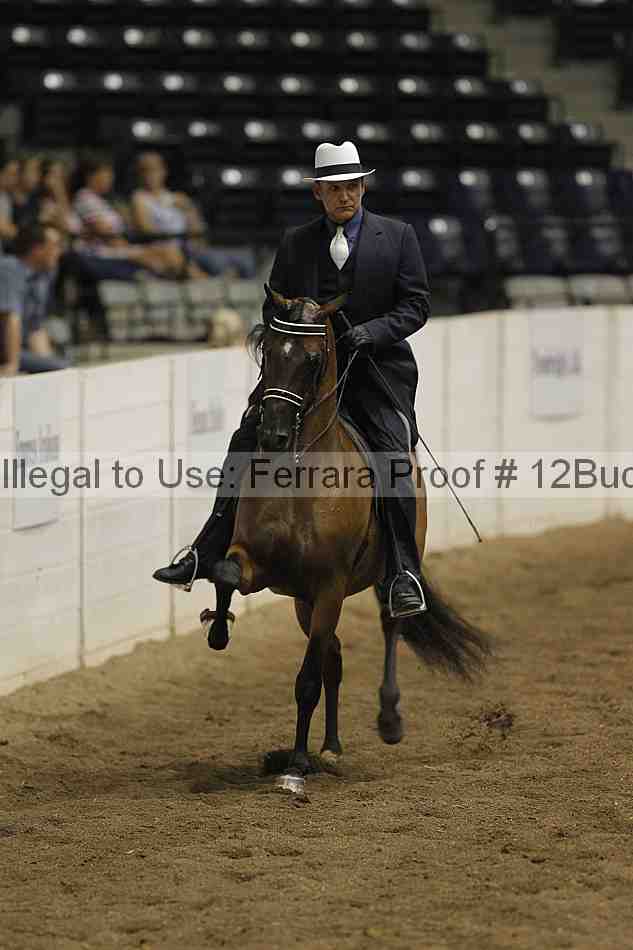 Proof 12buck_3926