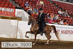 12buck_3930 proof
