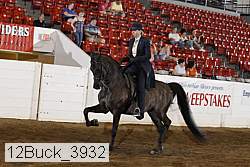 12buck_3932 proof