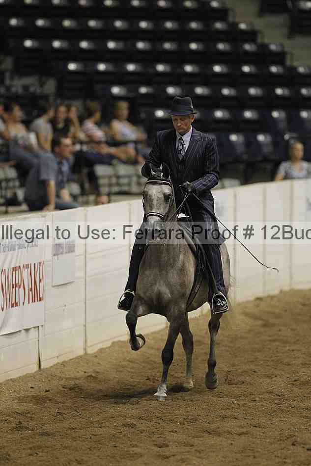 Proof 12buck_3935
