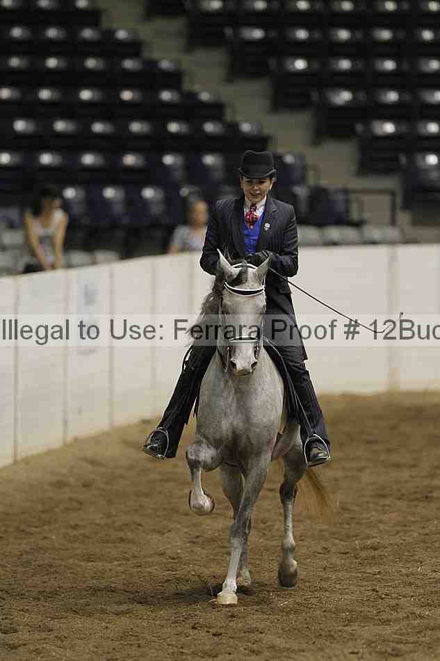 Proof 12buck_3936