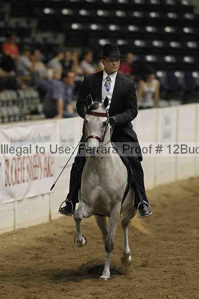 Proof 12buck_3940