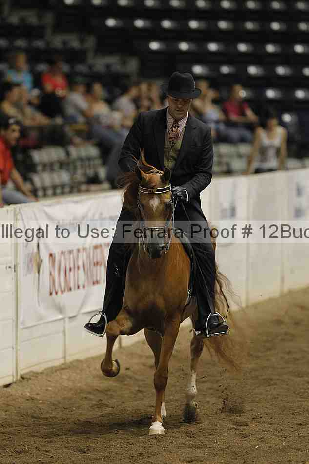 Proof 12buck_3941