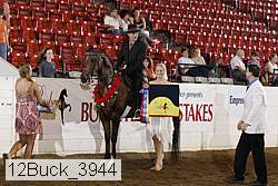 12buck_3944 proof