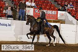 12buck_3945 proof