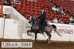 12buck_3946 proof