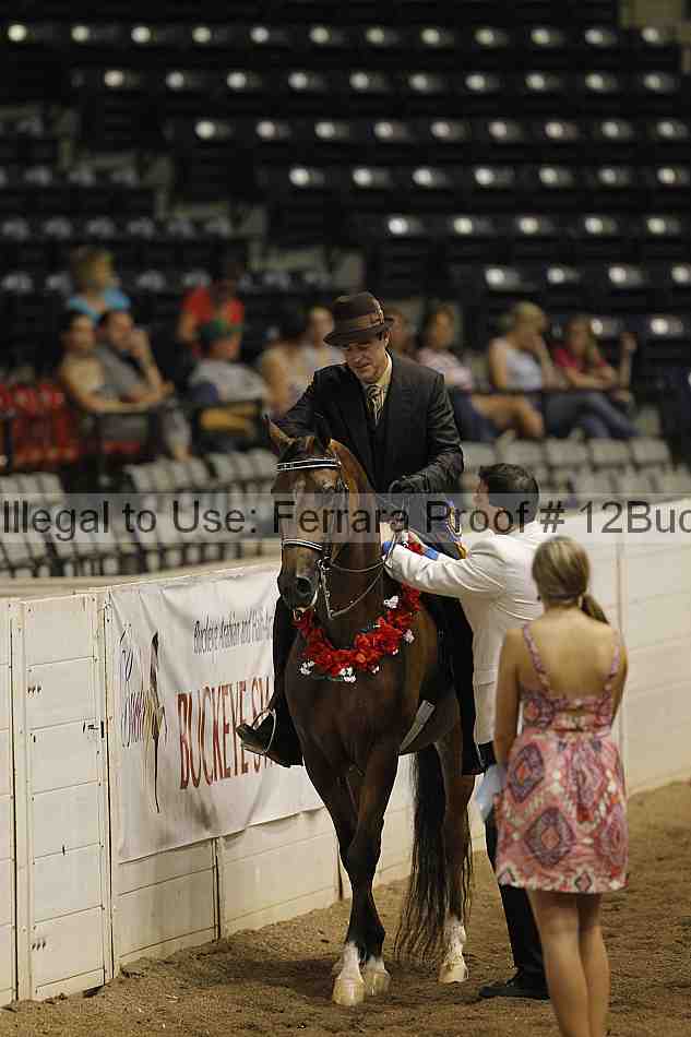 Proof 12buck_3947
