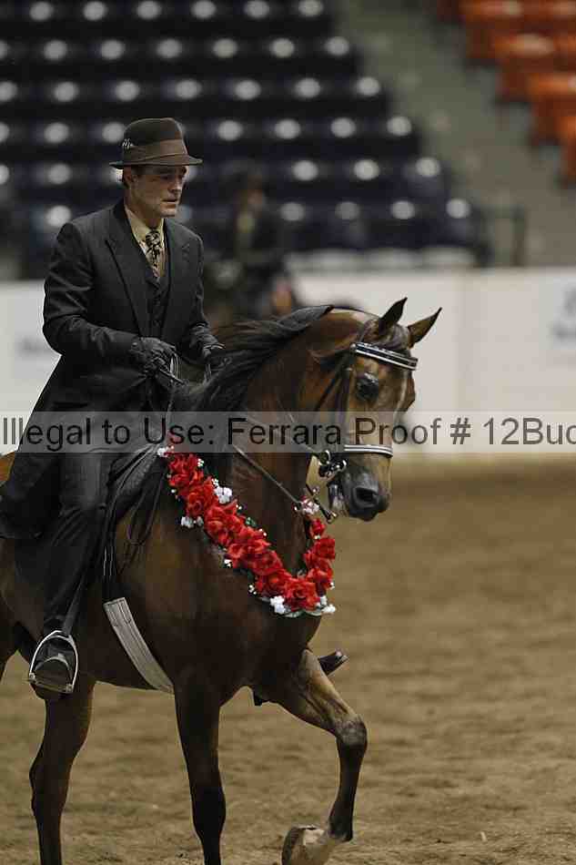 Proof 12buck_3949
