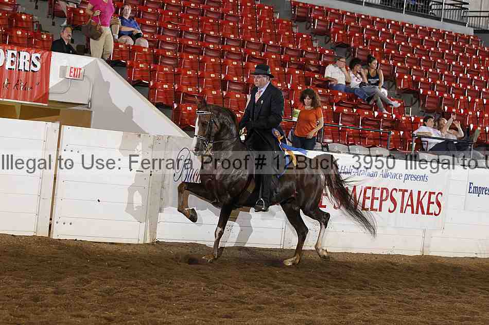 Proof 12buck_3950