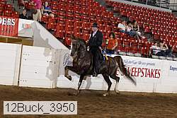 12buck_3950 proof