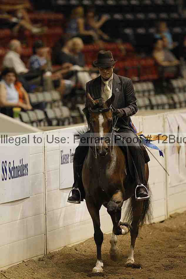Proof 12buck_3951