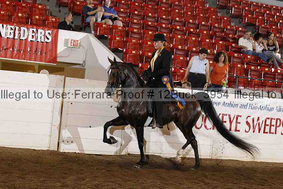 Proof 12buck_3954