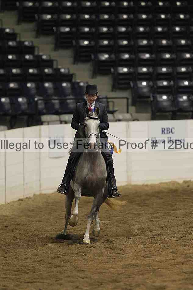 Proof 12buck_3955