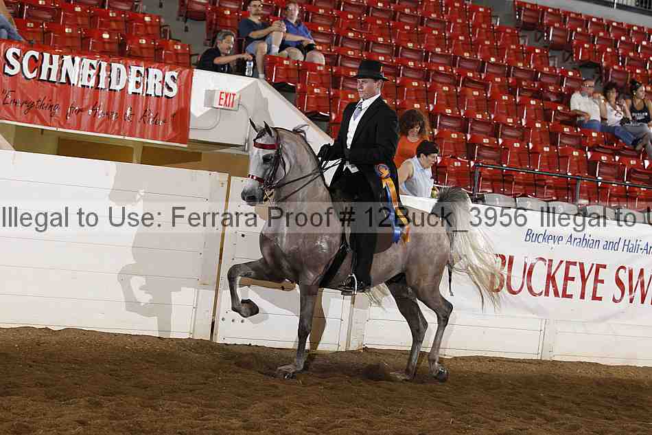 Proof 12buck_3956
