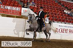 12buck_3956 proof