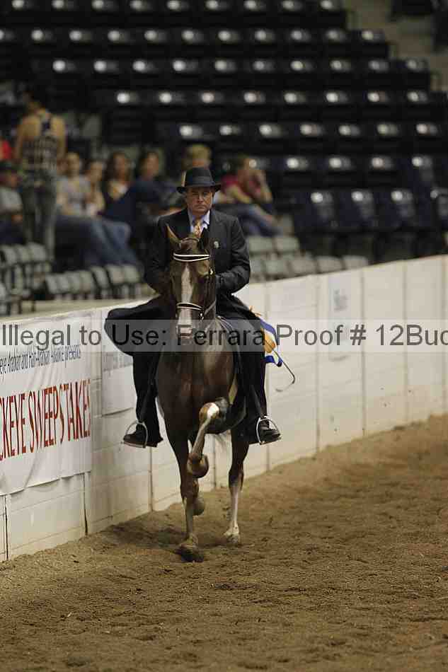 Proof 12buck_3957