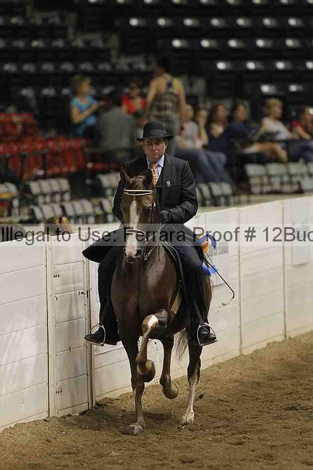Proof 12buck_3958