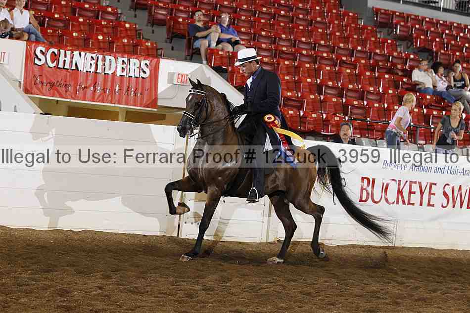 Proof 12buck_3959