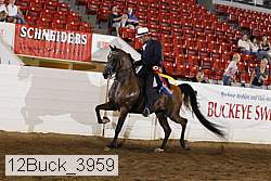 12buck_3959 proof