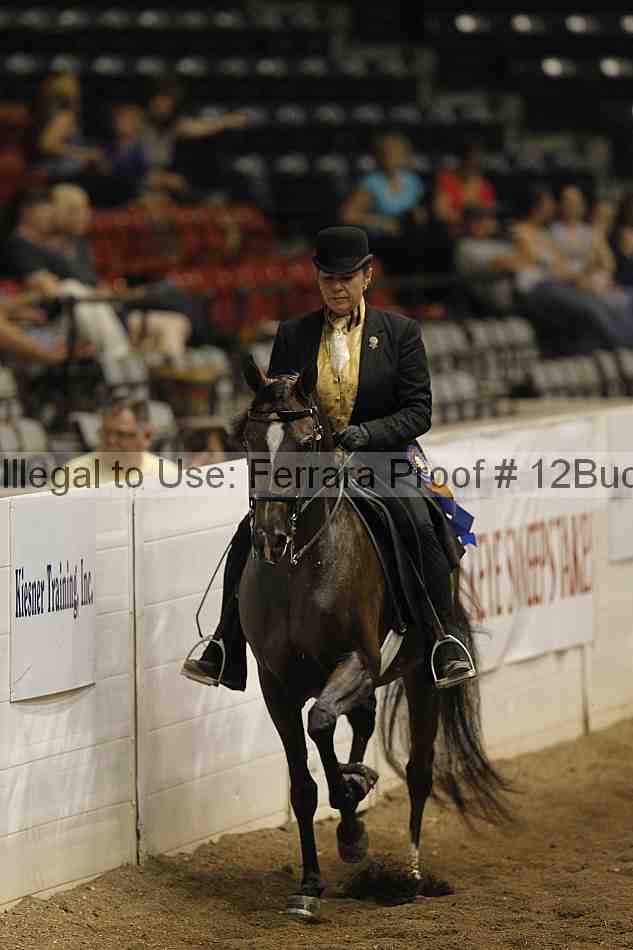 Proof 12buck_3961