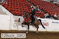 12buck_3962 proof