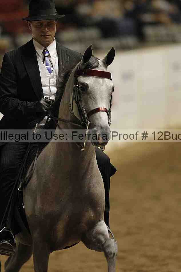 Proof 12buck_3964
