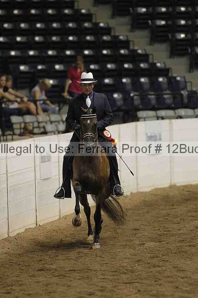 Proof 12buck_3965