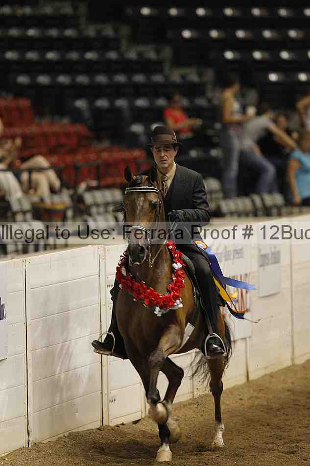 Proof 12buck_3968
