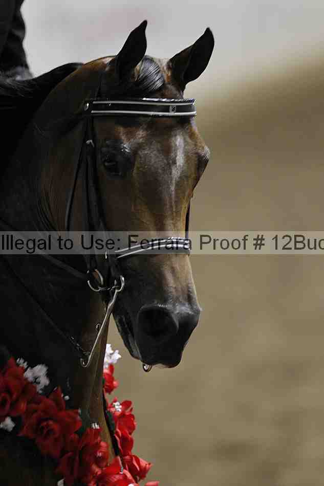 Proof 12buck_3971