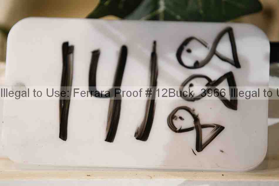 Proof 12buck_3966