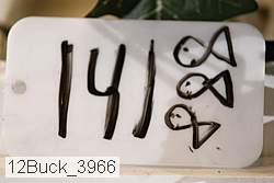 12buck_3966 proof
