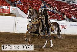 12buck_3972 proof