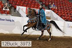 12buck_3973 proof