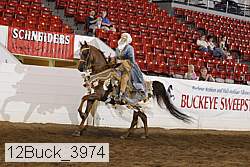 12buck_3974 proof