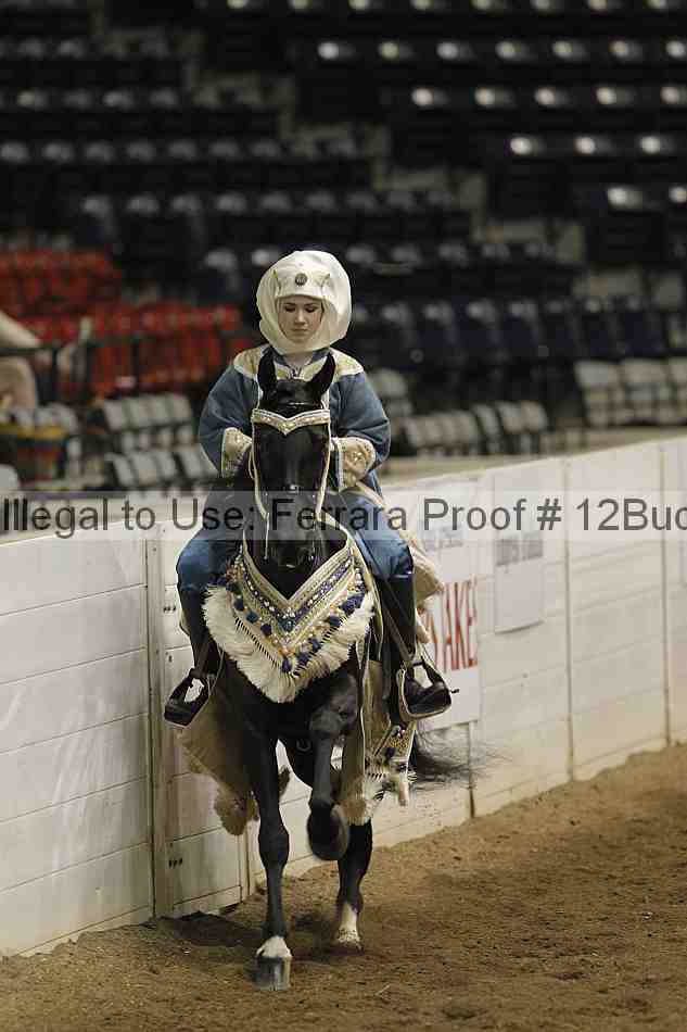 Proof 12buck_3976