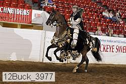 12buck_3977 proof