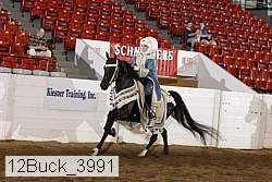 12buck_3991 proof
