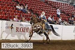 12buck_3993 proof