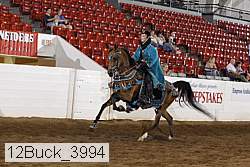 12buck_3994 proof