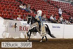 12buck_3995 proof