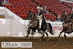 12buck_3996 proof