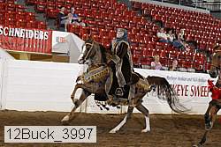 12buck_3997 proof