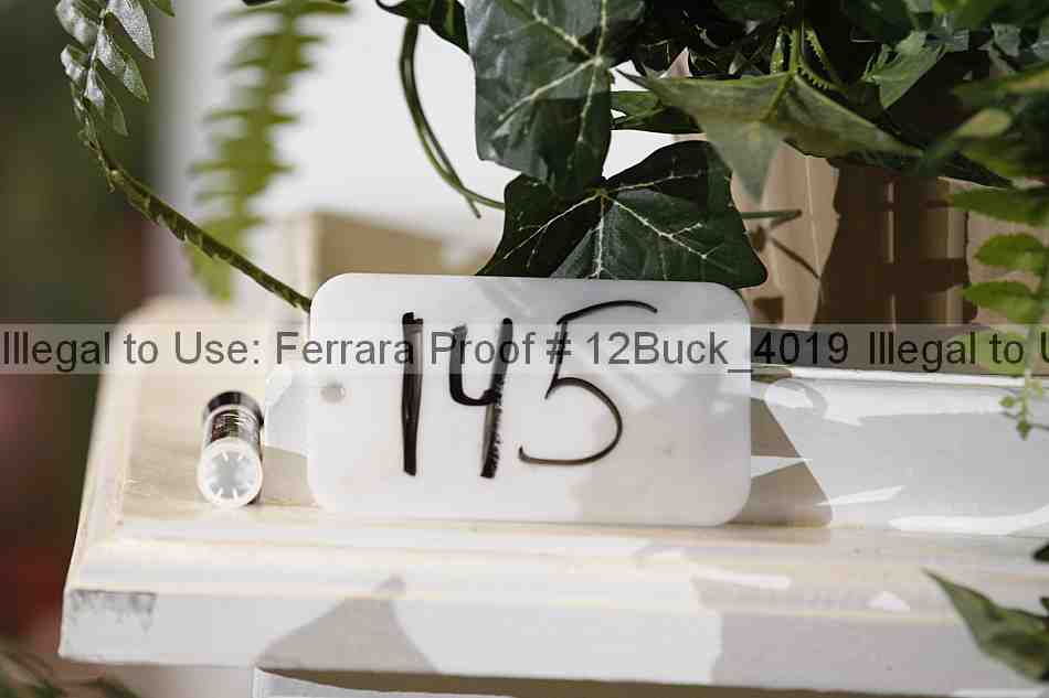 Proof 12buck_4019