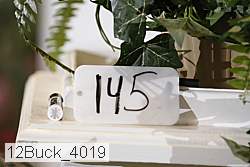 12buck_4019 proof