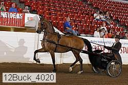 12buck_4020 proof