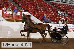 12buck_4021 proof