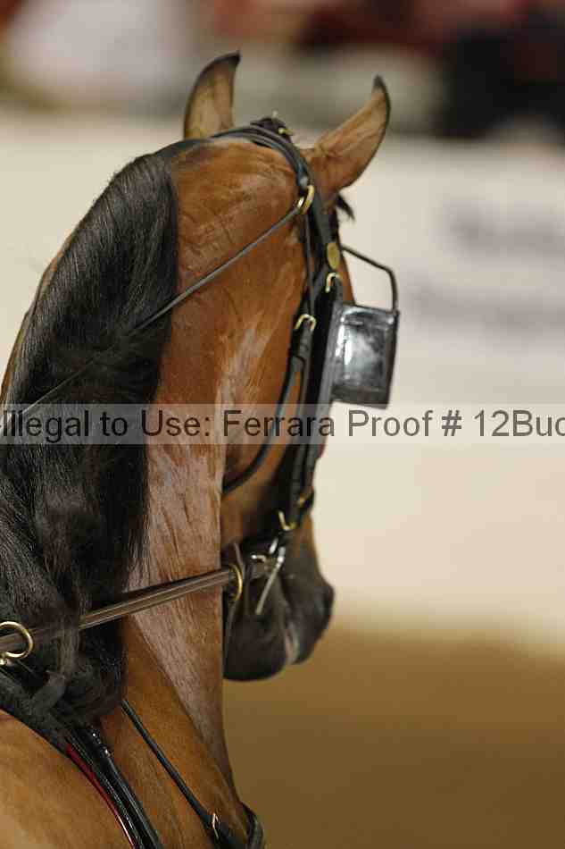 Proof 12buck_4024
