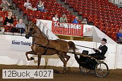 12buck_4027 proof